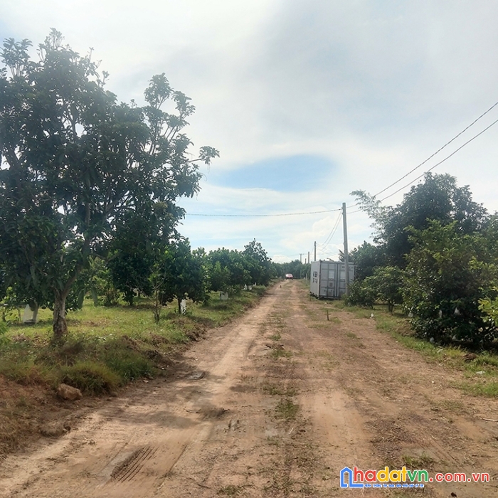 Đất vườn hồ trị an, có sẵn cây ăn trái, sổ hồng riêng, ngân hàng cho vay 50%