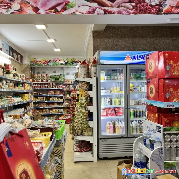 Bán biệt thự phố tân mai , phân lô, gara, dt 100m2, 16 tỷ, 0977435869.