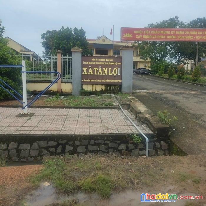 Đất tân lợi - đông phú - bình phước