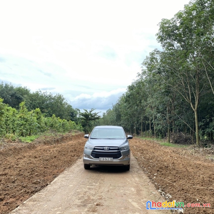 Đất cập becamex đồng phú