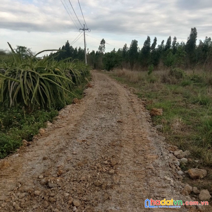 Cần bán nhanh lô đất thôn 2,xã hàm cần,hàm thuận nam,bình thuận.