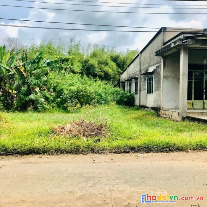 Bán gấp đất tân thạnh đông, củ chi 110m2, giá 837 triệu, shr có sẵn.