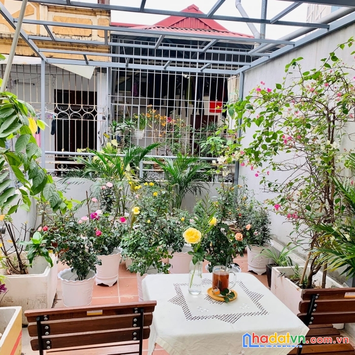 Phố víp ba đình _ 20 ra ô tô tránh _ 5p ra hô tây thơ mộng