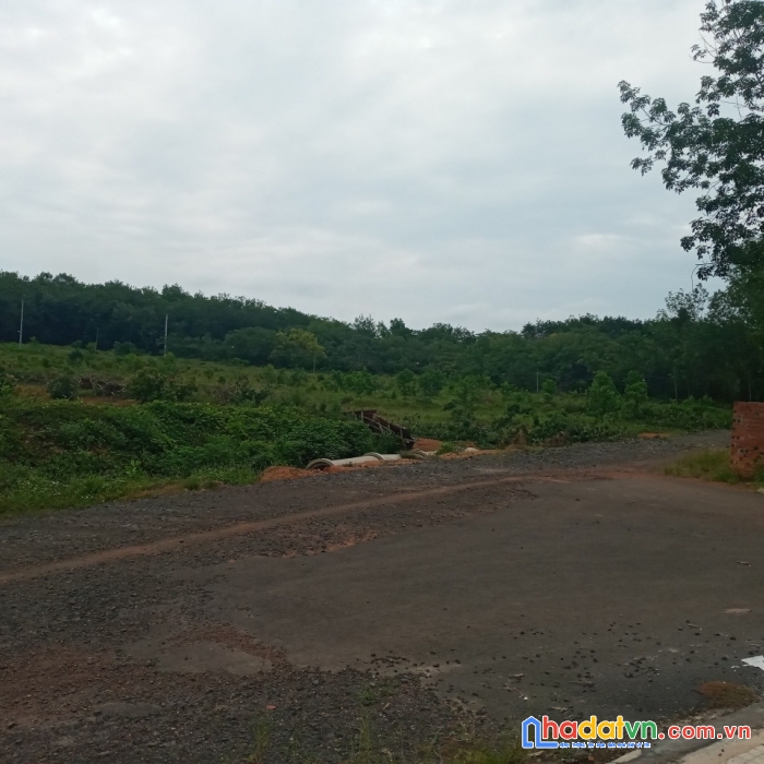 Chính chủ cần bán lô đất ở xã thuận lợi, huyện đồng phú, tỉnh bình phước