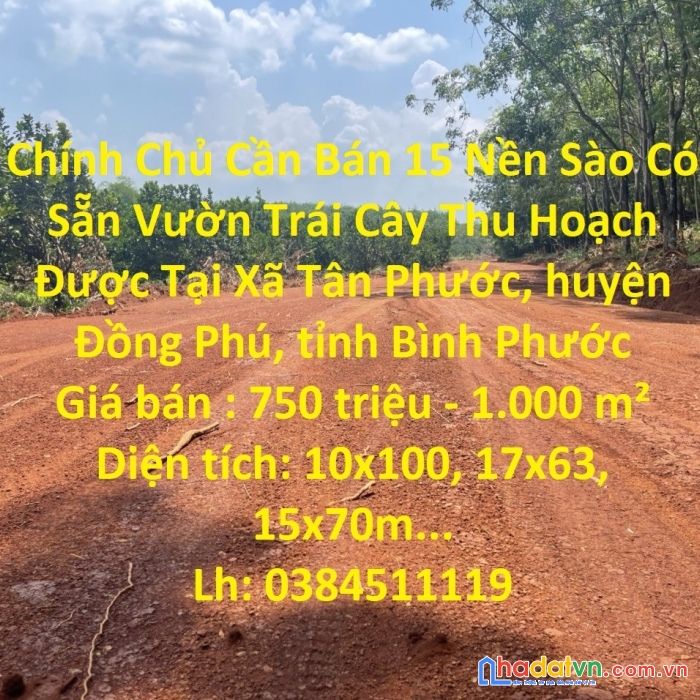 Chính chủ cần bán 15 nền sào có sẵn vườn trái cây thu hoạch được tại bình phước