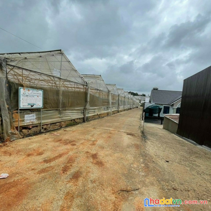 Cần bán gấp lô đất giá rẻ đường nguyên tử lực, đà lạt giá chỉ 1.2 tỷ