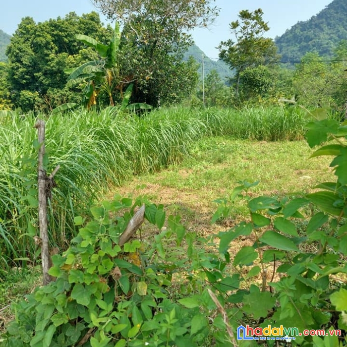 Đất đẹp, mặt bám đường bê tông to, sau là núi, trong có suối, có ao.