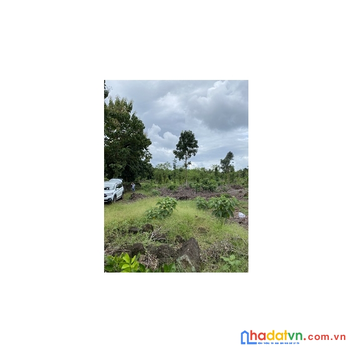 Chủ cần chuyển nhượng 10000/m xã phú lộc. đường đá mi rộng 3m sắp tới lên bê tông 4,5m . cách nhựa