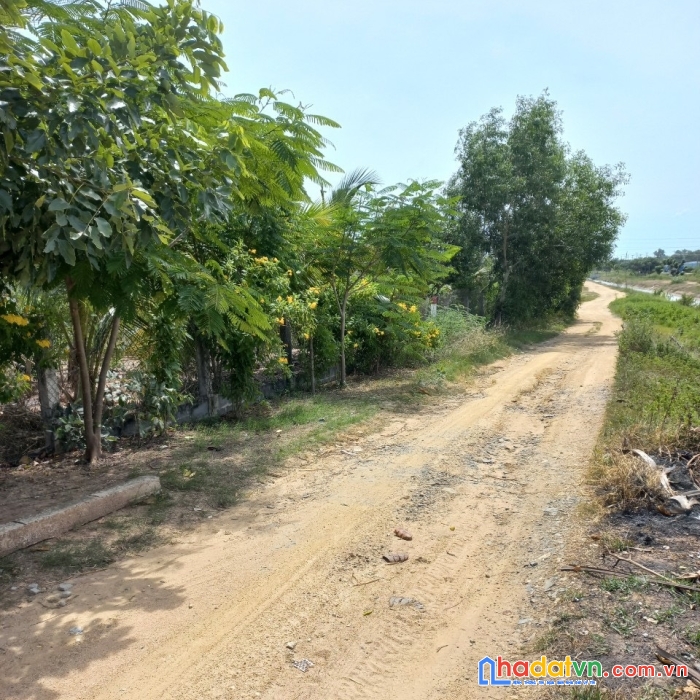 Cần bán đất vị trí đẹp giá rẻ hấp dẫn tại bình thuận