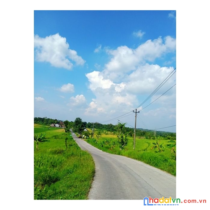 Lô đất đang được săn đón tại đường lạc long quân, có sẵn thổ cư. lh em ngay: 0935 20 28 21