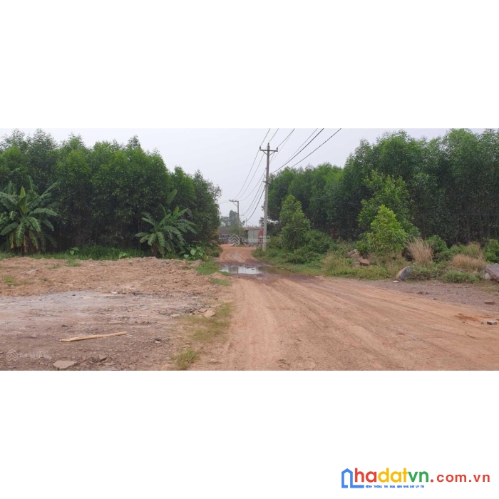 Sở hữu ngay lô đất chính chủ tại thị trấn vĩnh an, huyện vĩnh cửu - đồng nai