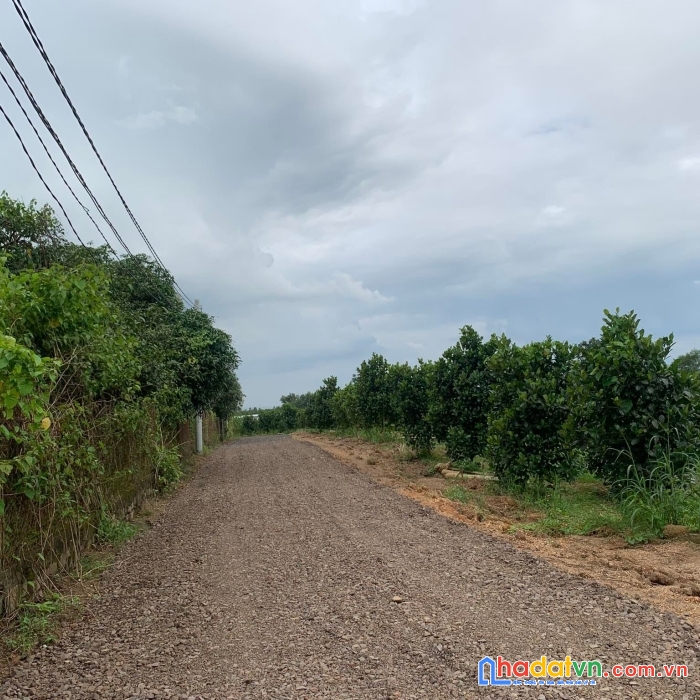 View hồ trị an,shr,xã la ngà,định quán,đồng nai