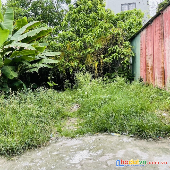 Hàng đẹp có 1 không 2 tại trục chính kính nỗ-uy nỗ đường 5m giá 5x có như k