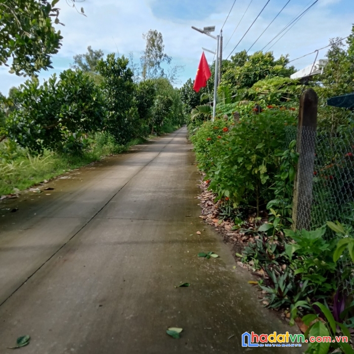 Chính chủ bán mảnh đất tại xã mỹ tân, cái bè, tiền giang