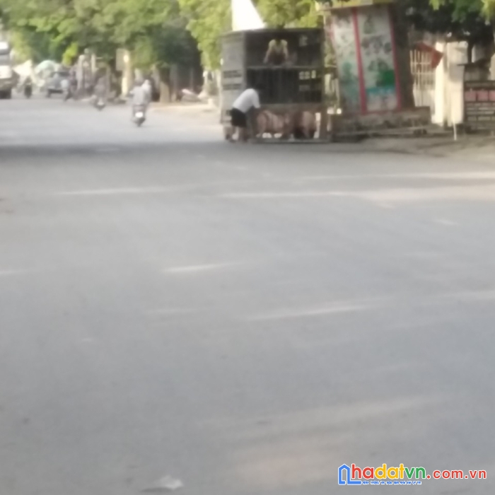 Chính chủ cần bán đất đẹp vị trí đắc địa tại p.quảng hưng – tp thanh hóa