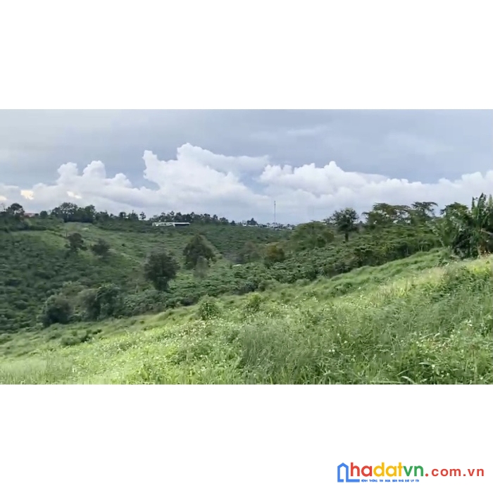 Hot hot cần bán gấp lô đất vị trí tại bảo lộc -lâm đồng