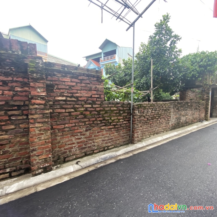 Chính chủ bán gấp 39.5m2 tdp an đào trâu quỳ chỉ 5x triệu