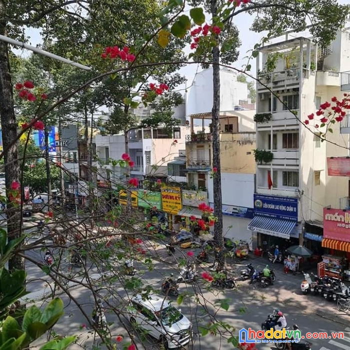 Ngô gia tự quận 10 .