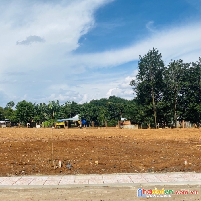 Chính chủ bán 239m2 đất t.phố để đáo hạn ngân hàng 