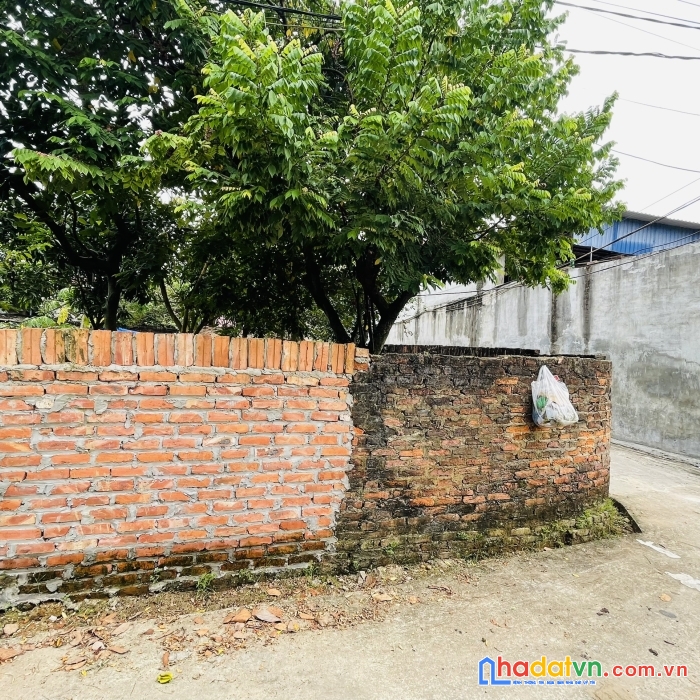 Giá rẻ đường ôt đỗ tận đất tại sơn đoài,tân minh