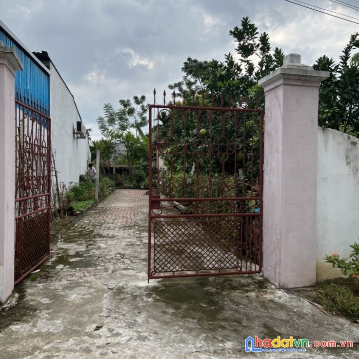 Chính chủ e cần bán gấp mảnh đất khu 3 bình phú,phù ninh, phú thọ.