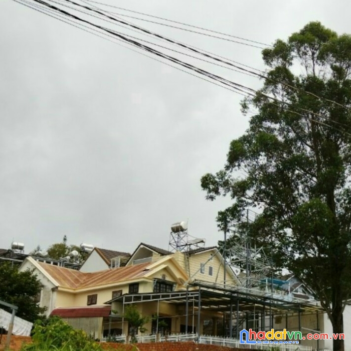 Kẹt tiền bán gấp nhà gần trung tâm đường hoàng diệu, đà lạt 382m2 giá tốt đầu tư chỉ 16 tỷ