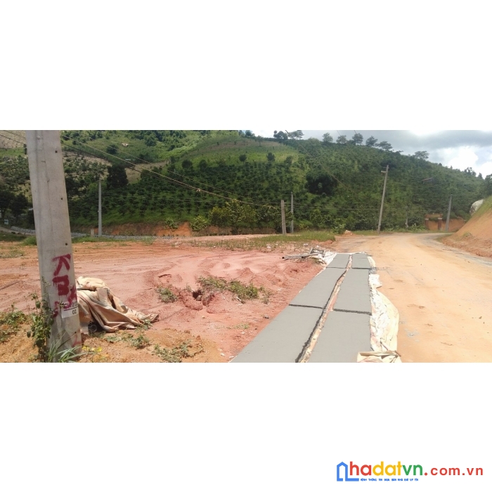 Chính chủ cần bán đất mặt tiền đường nhựa 12m