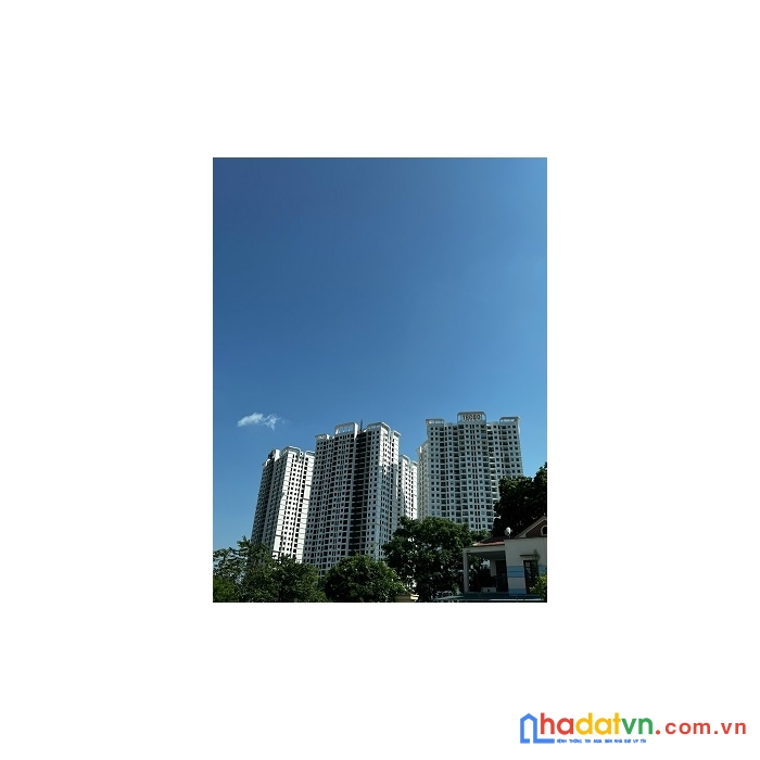 Tecco e lite city thái nguyên