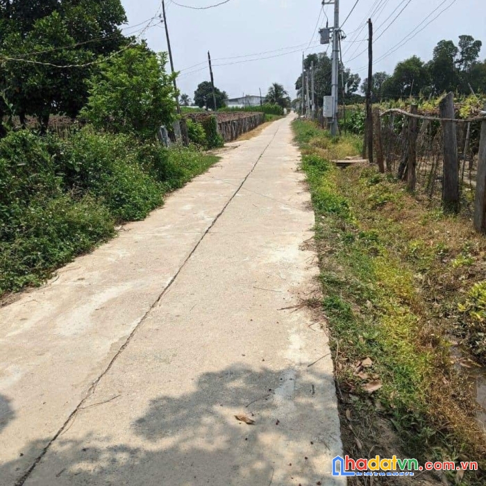 Chính chủ cần bán đất mặt tiền đường bê tông