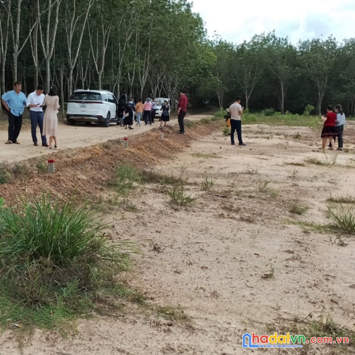 Đất cận kcn đồng nơ, giá chưa qua đầu tư => lợi nhuận thấp nhất cam kết văn bản 15%/năm. 250m2