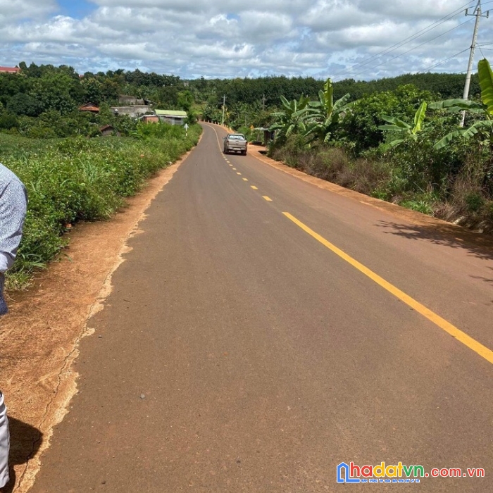 Chính chủ cần bán đất ở đường tỉnh lộ 19b xã cư amung