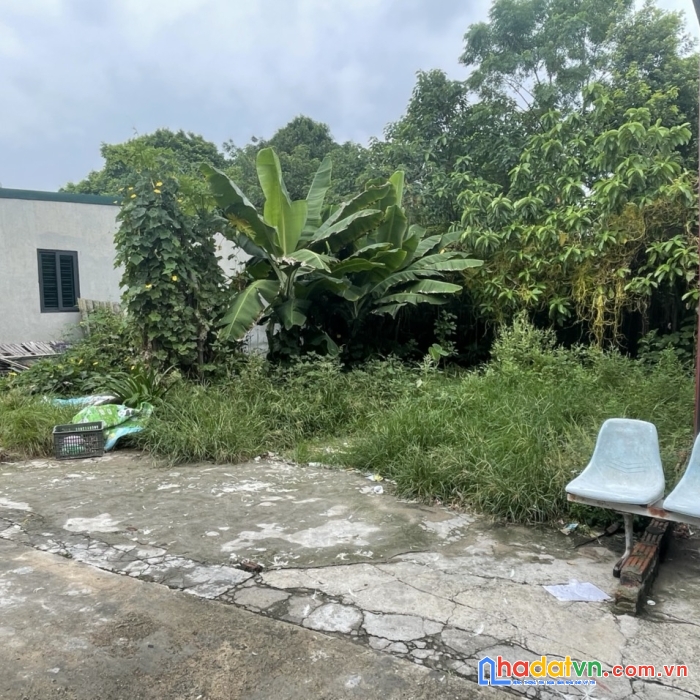 Chính chủ không sử dụng cần bán 60m2 đồi thông quán tỉnh - uy nỗ - đông anh - hà nội .
- đất theo