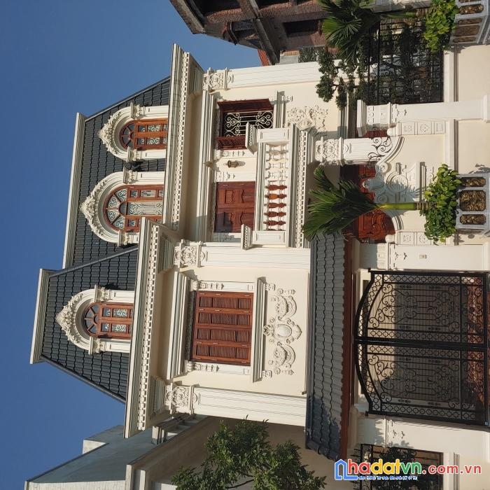 Bán nhà biệt thự đại mỗ 230m - biệt thự lô góc hàng hiếm