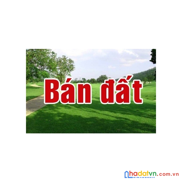 Chính chủ bán 369m2 đất mặt tiền bùi cẩm hổ, công viên văn hóa đầm sen tân phú - huy cường -