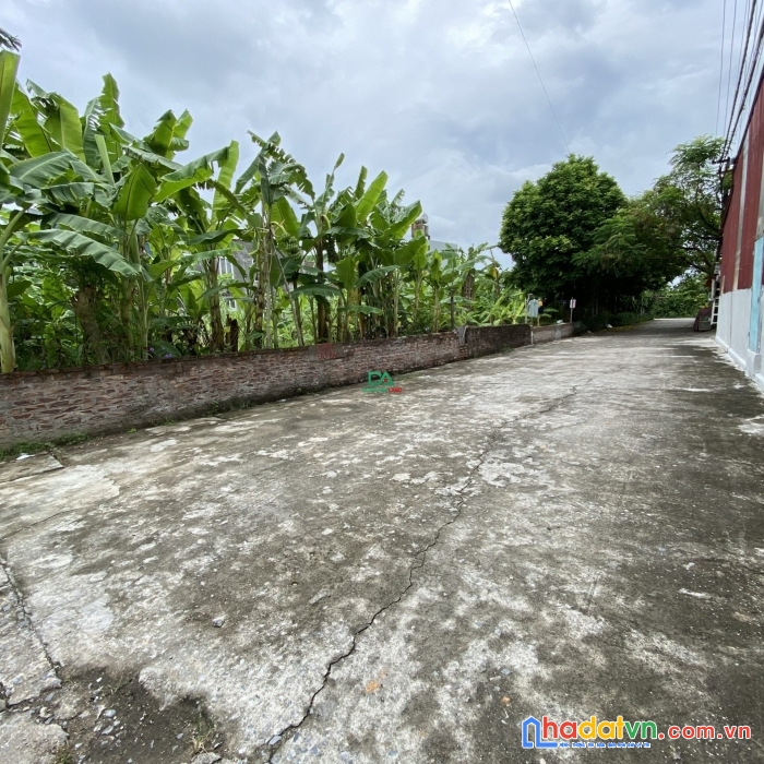 Bán đất mỹ nội bắc hồng đông anh đường oto tranh nhau cách bìa làng 20m