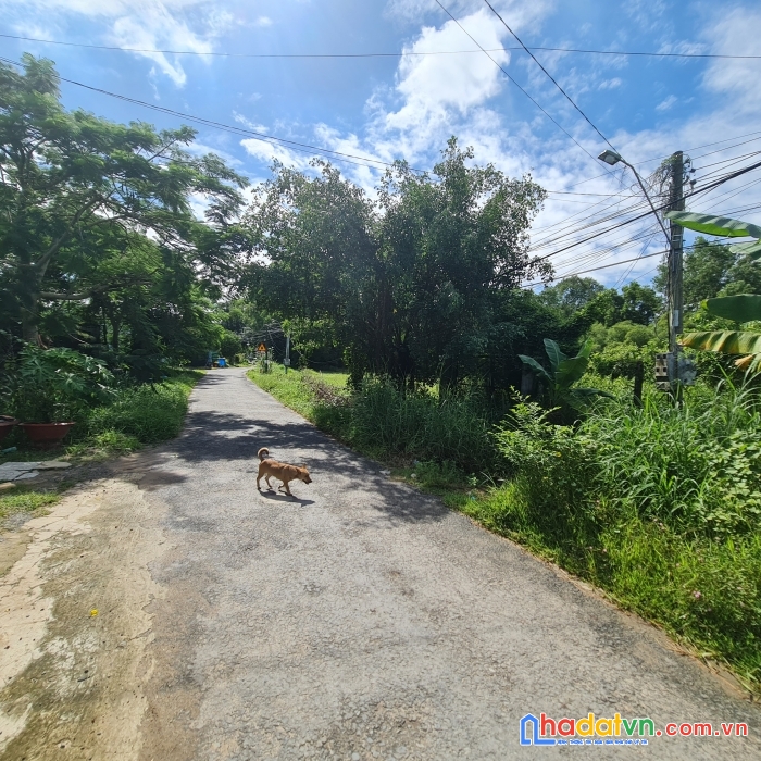Bán đất mặt tiền an hòa trảng bàng