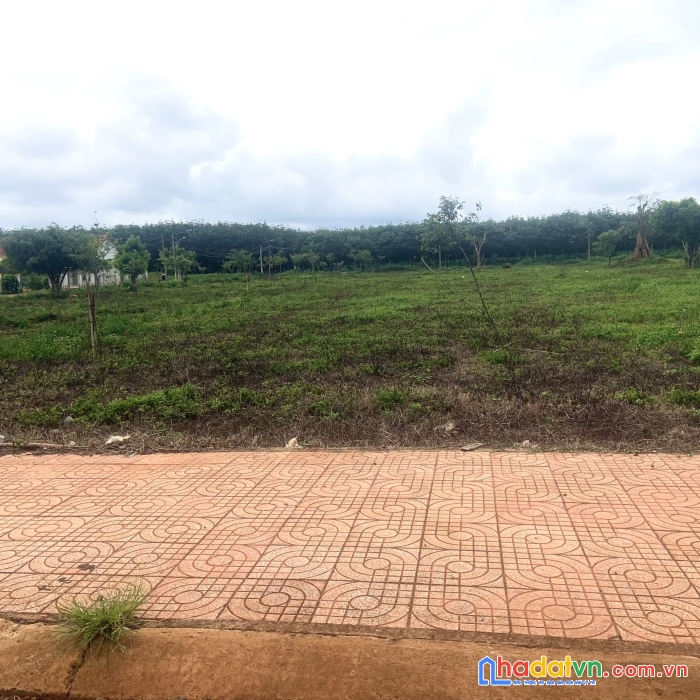 Đất mặt tiền gần chợ phú lộc – krông năng- 150tr/m ngang