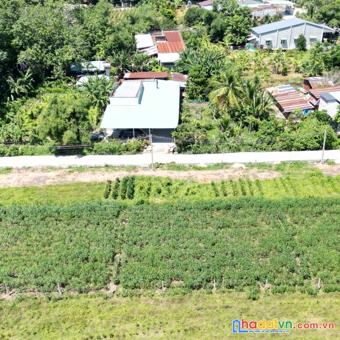 Hiệp thạnh gò dầu nới đầu tư lý tưởng