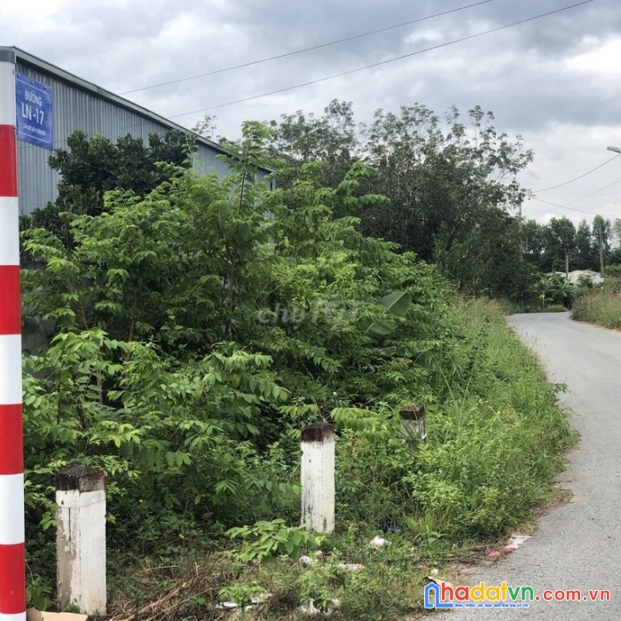 Chính chủ bán đất nền huyện bàu bàng, bình dương