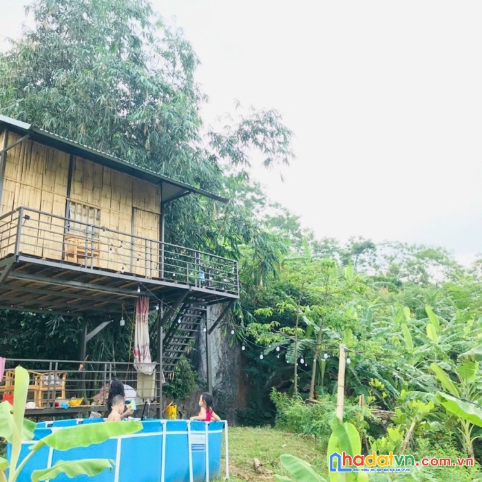 Bán 3ha rừng sản xuất tu lý, đà bắc, hoà bình nhỉnh 1 tỷ