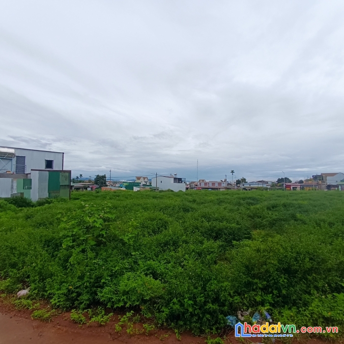 Nhà em có lô đất ngay chợ phú lộc krông năng cần bán để chuyển vào miền nam sống  