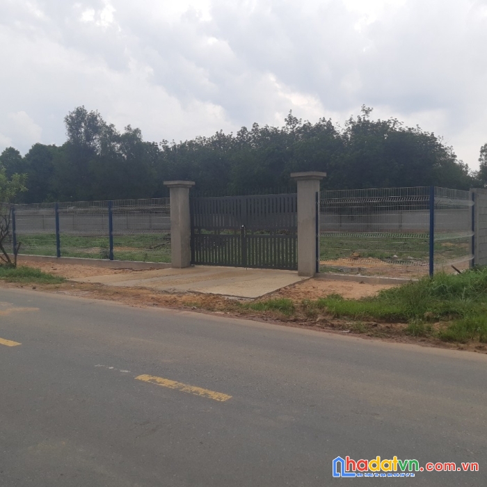 Mặt tiền nguyễn thị rành 2650m2 vuông vức siêu đẹp, gần ubnd nhuận đức, củ chi, 52.9 tỷ.