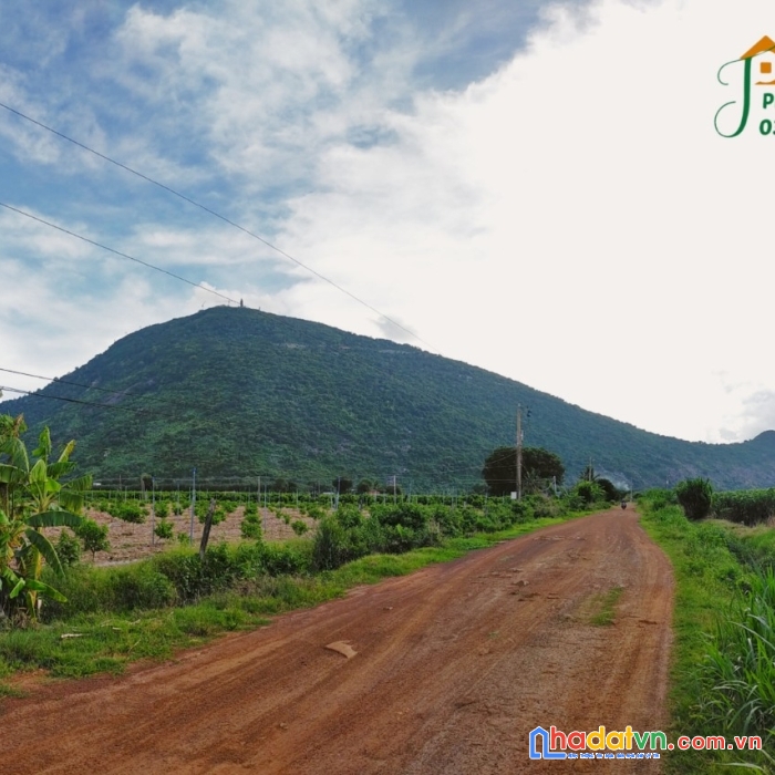 Chính chủ sổ sẵn 65tr/mn 11*95 view núi bà đen tây ninh