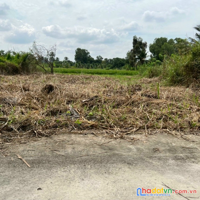 Sở hữu ngay 2 lô đất liền kề đẹp vị trí đắc địa tại long an