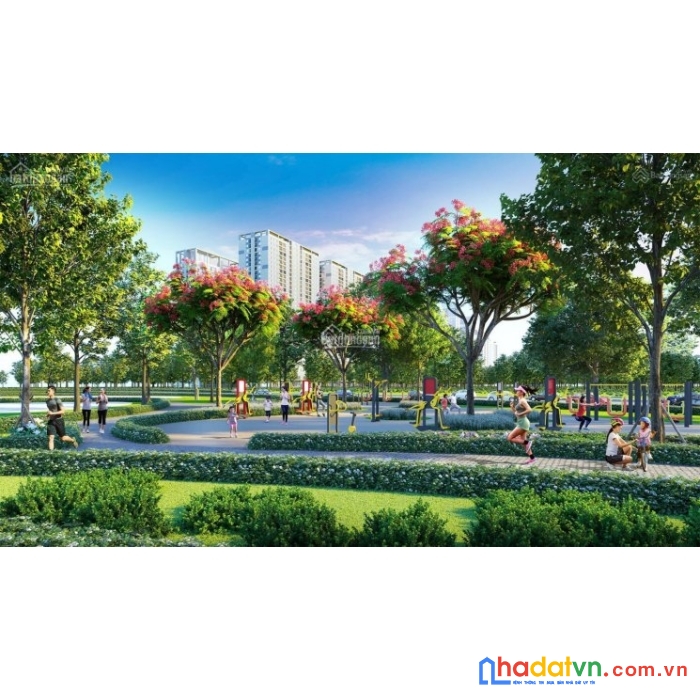 Gia đình cần bán đất tại anh dũng 6, hải phòng