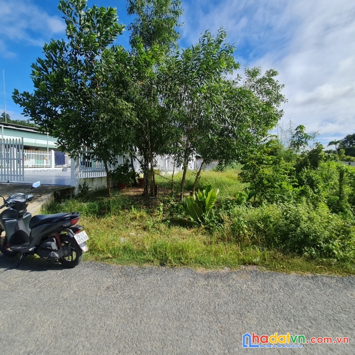 Nhựa 6m an hòa trảng bàng tây ninh