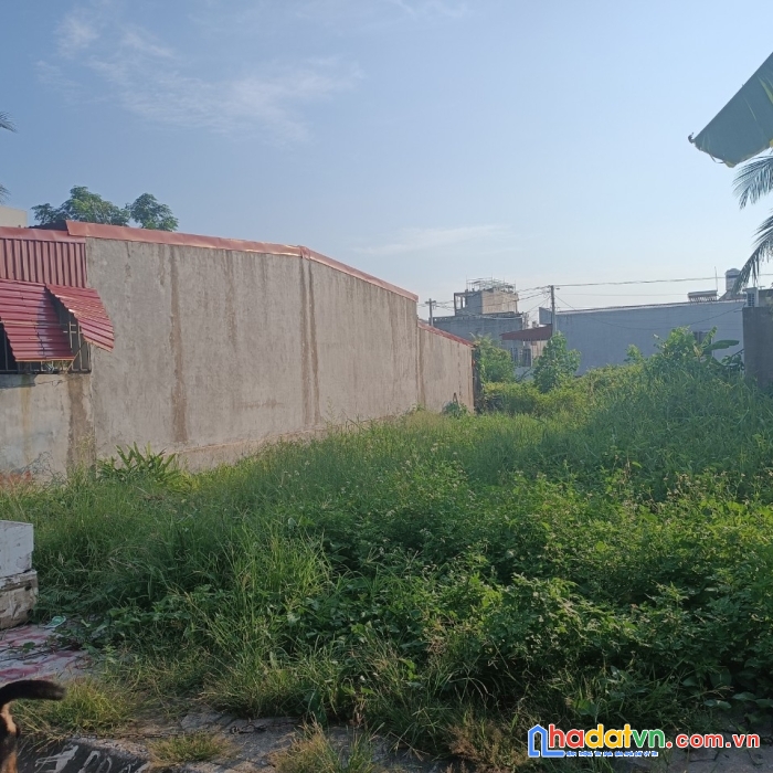 ✅ ngõ 183 tân thành dương kinh hp . giá 2,15 tỷ 
 ngõ 183 tân thành dương kinh hp . giá 2,15 tỷ
