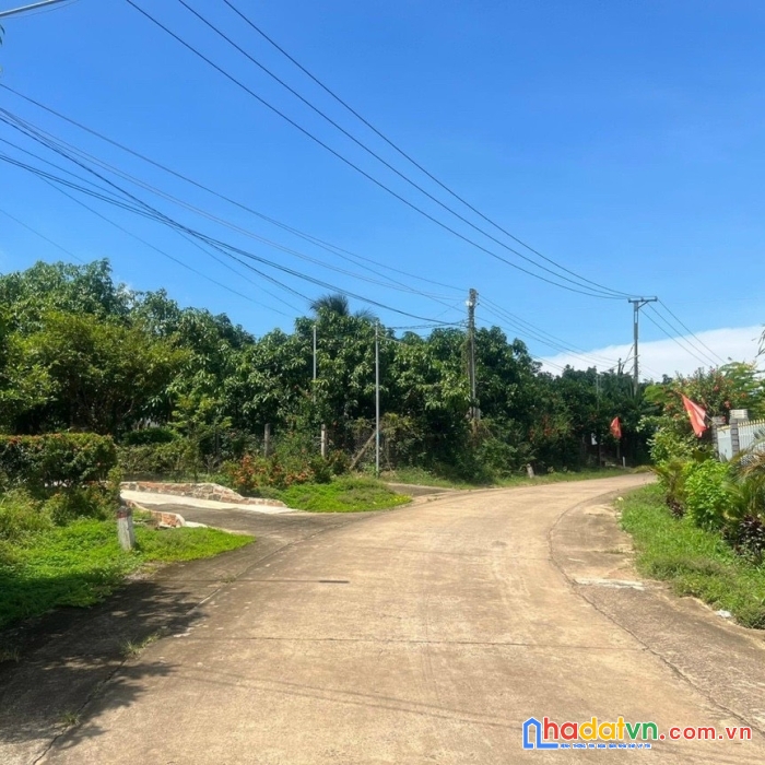 
cần tiền trả nợ, tôi chấp nhận chịu lỗ 500tr bán nhanh mảnh vườn có xoài trên đất
