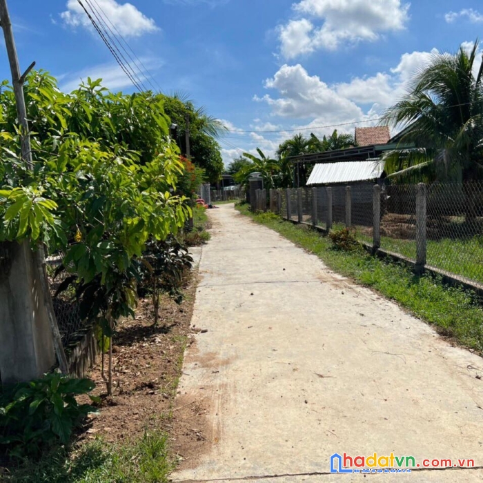 Bán nhanh lô đất giá đầu tư  7x32 giá chỉ 700tr gần ql26 ninh bình ninh hoà lh 0985451850 xuân
