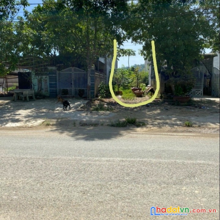 Cần bán đât tại tỉnh lâm đồng